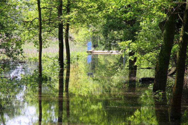 ... und vom Spazierweg ist nur noch die erhabene Brücke in den Fluten zu sehen - Für Fußgänger ist die Passage nicht mehr zu empfehlen und Radfahrer sollten auch absteigen, wie es ein Schild an der Brücke rät ... ;o)