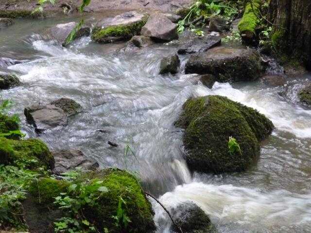 die Schächerbach ist ein kleines Wildbach