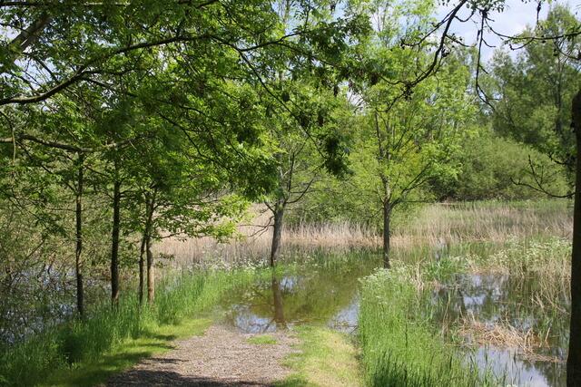 ... und "verschlingt" immer mehr davon ...