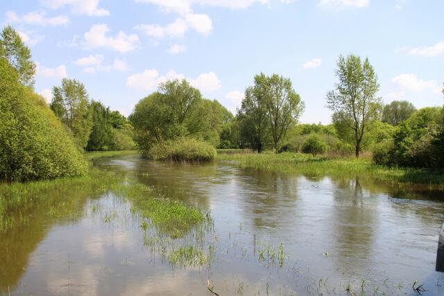 Dahinter sucht das Wasser aber wieder die Fläche ...