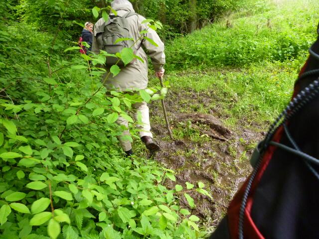 mit dem Stock ging es besser