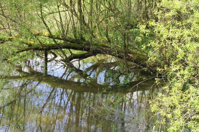 Mit offenen Augen entdeckt man nicht nur solch skurrile Spiegelkunst ...