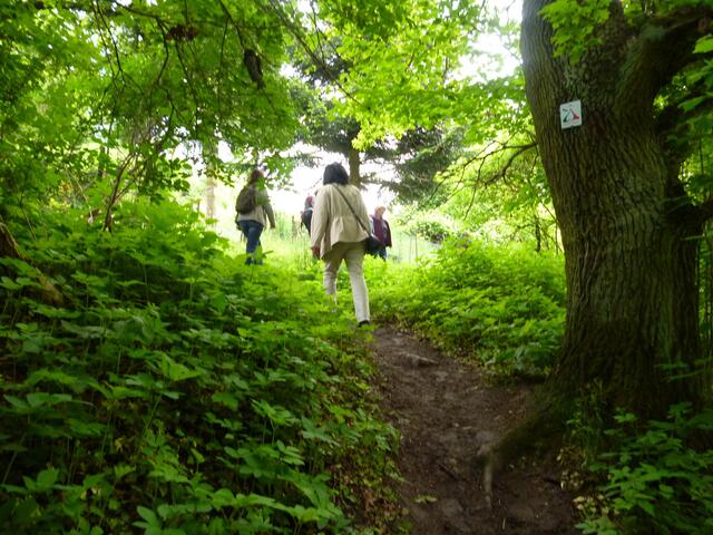 Der steile  Anstieg zu Beginn unserer Wanderung