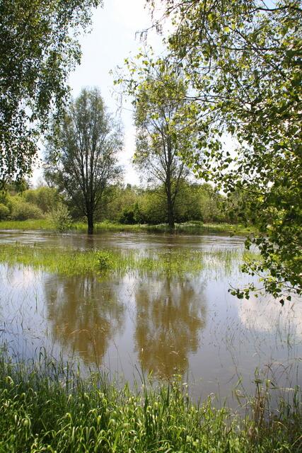 Da das große Wasser die Landfläche verkleinert, ...