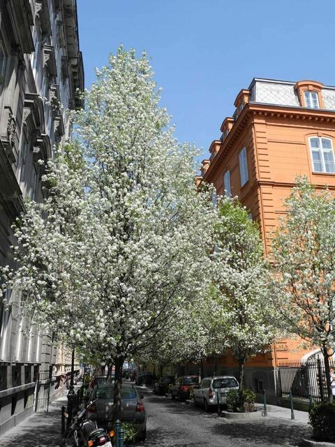 Budapest im April 2013