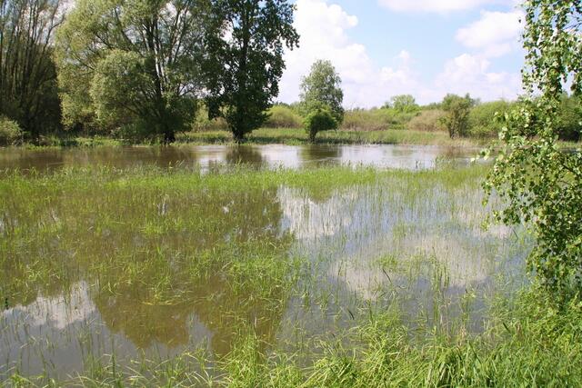 Wird hier tatsächlich Reis angebaut ... ?!?