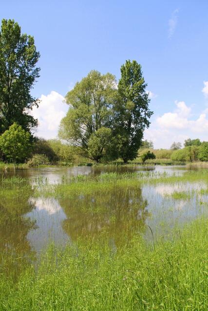 Die Sonne bricht für ein paar Stunden durch und taucht die Welt in herrliche Farben ...