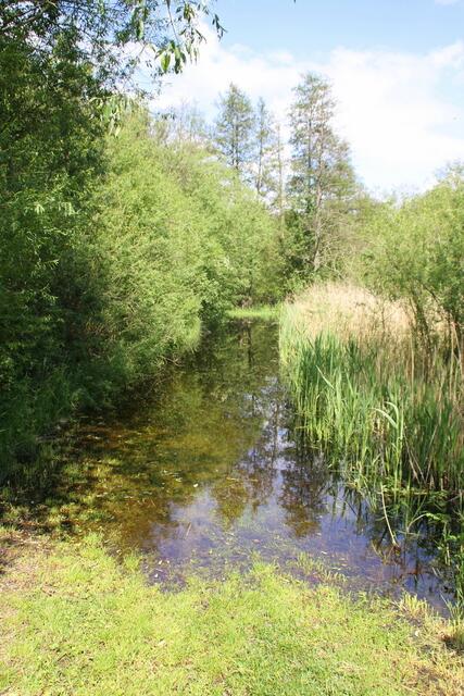 ... wir wenden uns aber wieder anderen Dingen zu ... ;o)