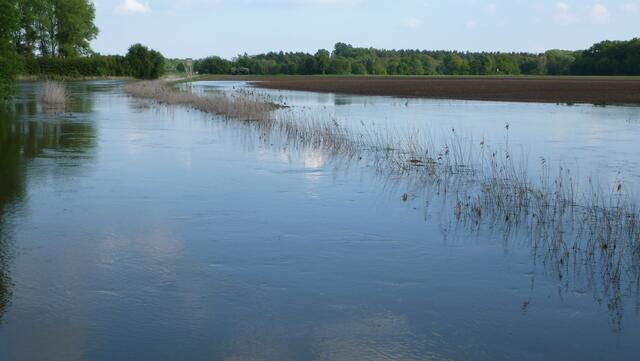 Viel Wasser