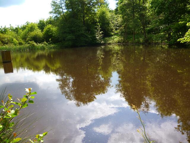 einer der vielen sagenumwobeben Teiche in der Nähe der Schächebach