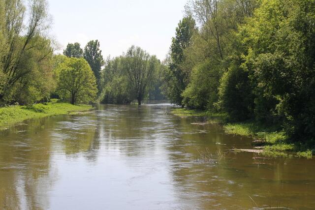 Sonst plätschert die Fuhse gemächlich vor sich hin ... kaum zu glauben, wenn man diesem "reißenden" Strom gegenüber steht ...