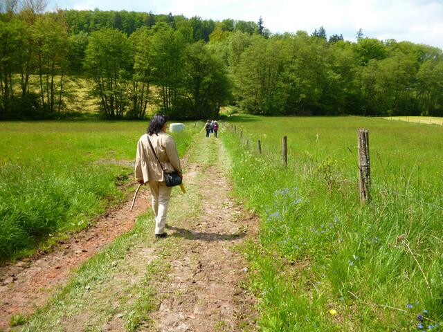 das frische Grün des Frühlings tat den Augen sehr wohl
