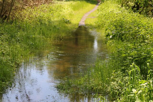 Mit Gummistiefeln oder Taucheranzug könnte man es wagen ... ;o)