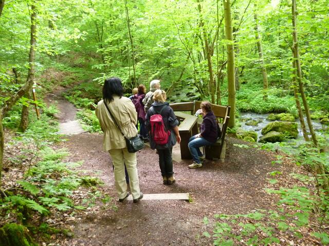 der Rastplatz am Goldborn.