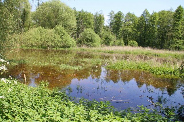 Das Wasser steht links und rechts des verbliebenen schmalen Weges ...
