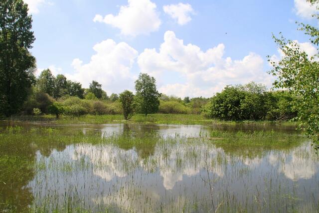 Schöner geht es kaum noch ...