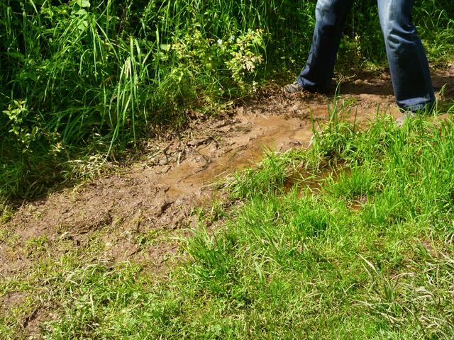 Hilfe, wie komme ich da mit trochkenen Füßen durch???