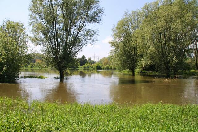 ... selbst die dicksten Bäume stehen bis zu den Knien im Wasser ... ;o)