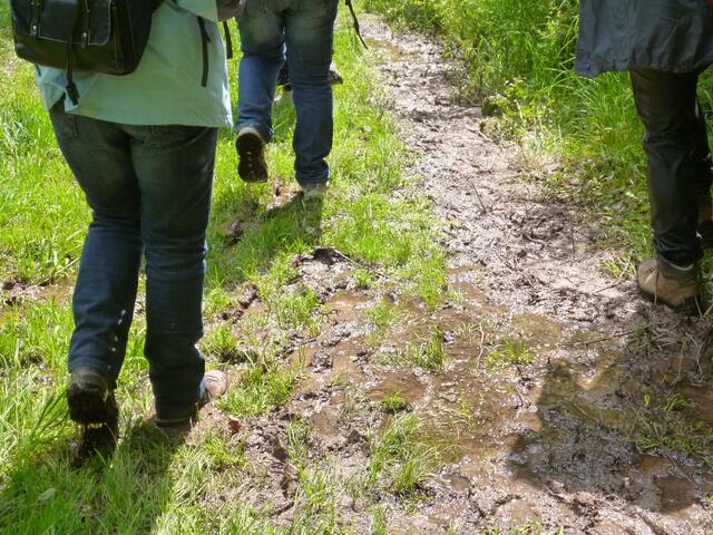 links oder rechts? wer hat den besseren Weg durch den Matsch erwischt?