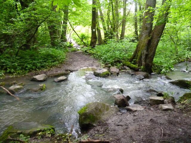 Über die Trittsteine sollten wir rüber, aber das Wasser der Schächerbach war zu hoch ...