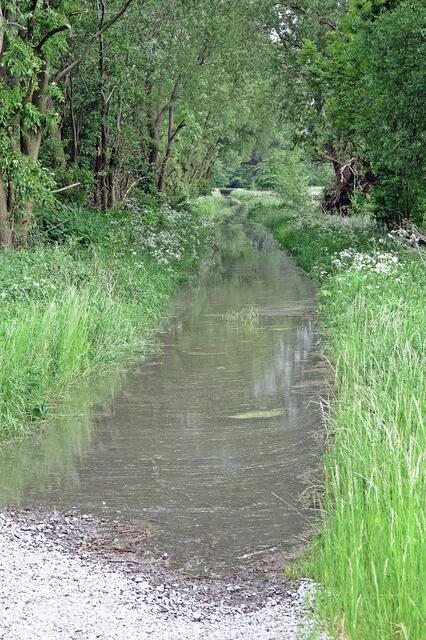 Weg bei Groß Ilsede