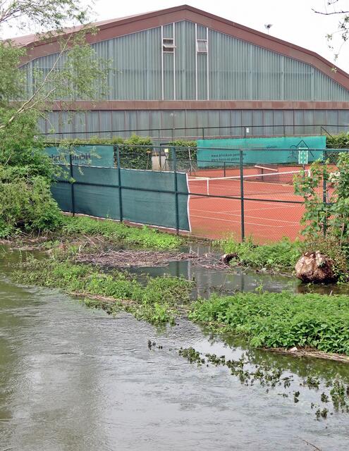 Fuhse bei Tennisanlage "Vater Jahn", Hollandsmühle, Peine
