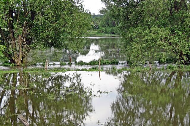 Fuhse bei Ilsede