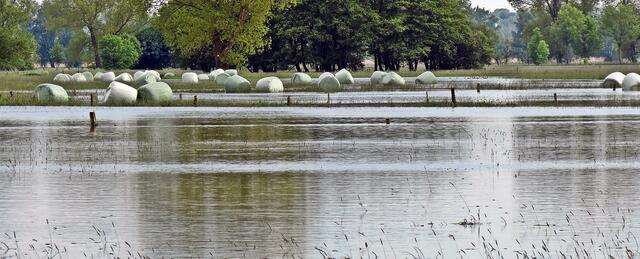 Nadelöhr Fuhse-Düker (Mittellandkanal bei Peine); Silage-Ballen wurden angetrieben und drohten den Tunnel zu verstopfen