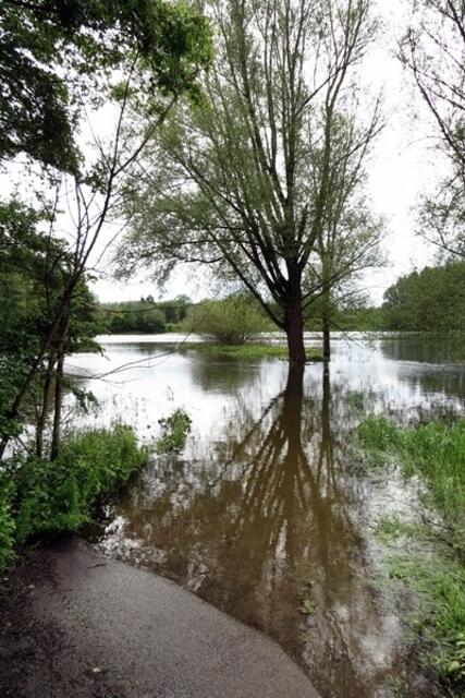 Fuhseniederung zwischen Peine-Telgte und Kernstadt