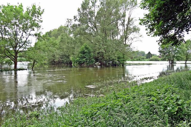 Fuhse zwischen Peine-Telgte und Kernstadt