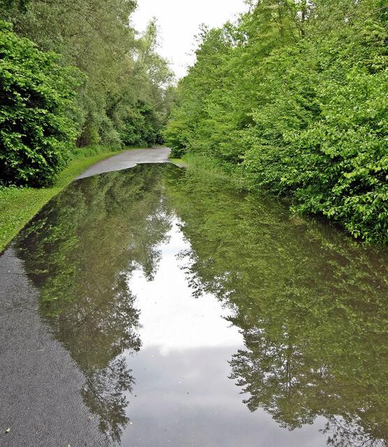 Schlossbleiche, Peine