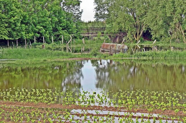 Alte Fuhseeisenbahnbrücke am ehemaligen Schacht Emilie, Bülten