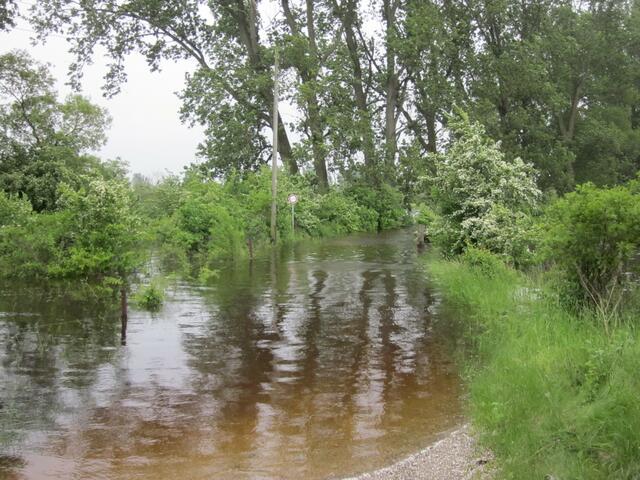 Privatweg zur Schleuse Hardemstorf.