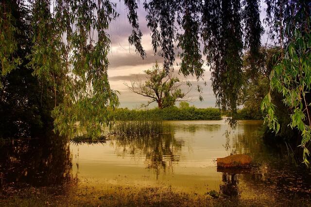 Die Stille am See bei Stille ist durch ein Rauschen des Wassers abgelöst worden.