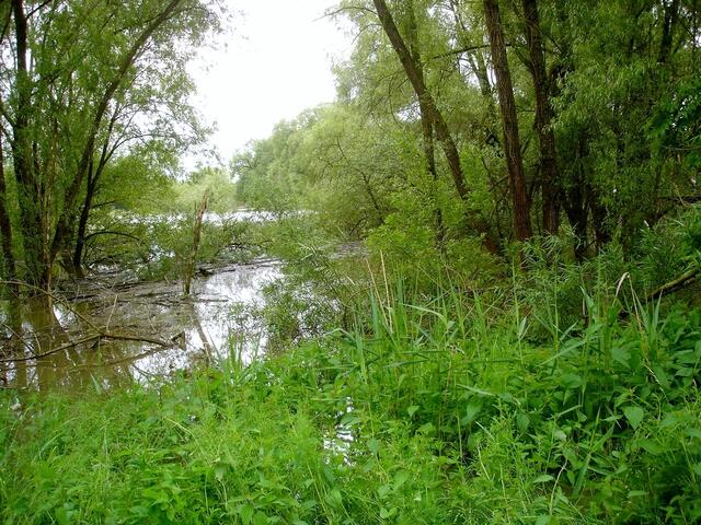 Grünfläche "Land unter"