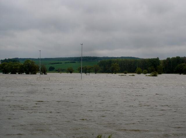 Demnächst hier Trainer der Wasserballer unter Flutlicht