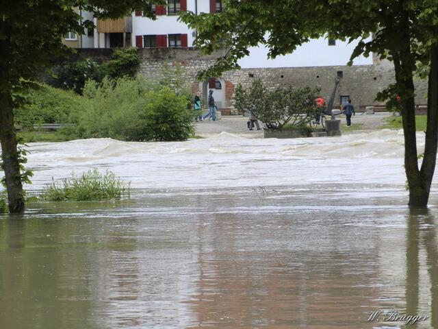 ausufernde Donau an der Donaubrücke / 3-Königs-Biergarten