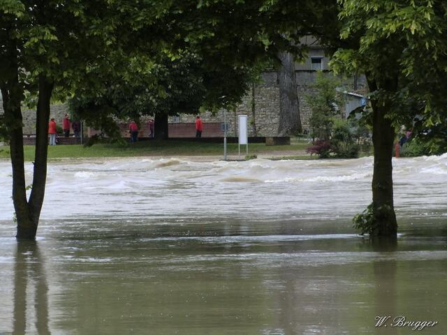 ausufernde Donau an der Donaubrücke / 3-Königs-Biergarten