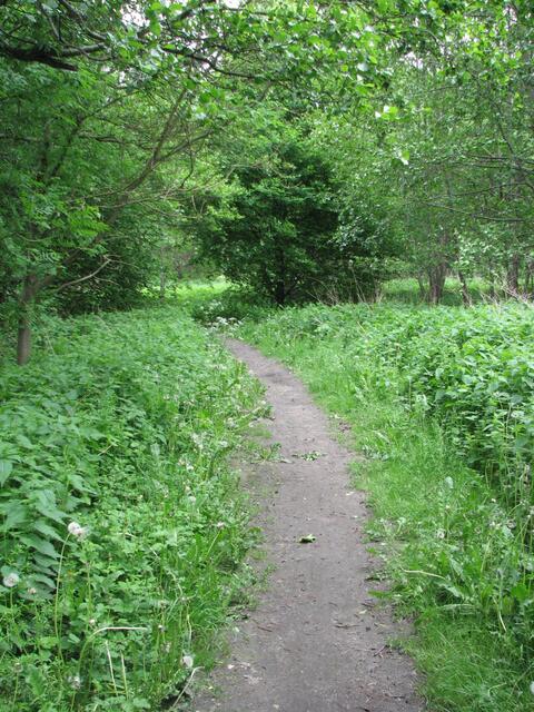 Die Wanderwege wachsen zu