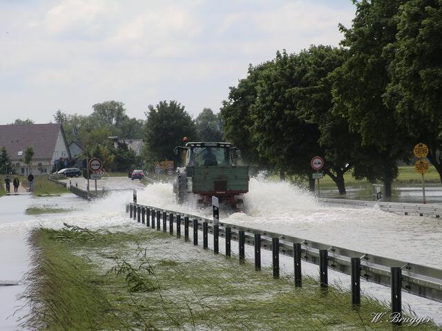 4. Juni 2013: Verbindungsstraße Dillingen-Holzheim: Die Straße ist noch gesperrt, doch Abenteuerlustige, seien es LKWs oder PKWs, testen die Tiefe des querenden "Riedstromes" (ausgeleitetes Donauwasser) aus. Dabei kommt es schon vor, dass einige stecken bleiben. Traktoren ziehen natürlich durch, die sind hoch genug angelegt.