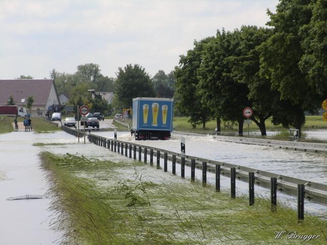 4. Juni 2013: Verbindungsstraße Dillingen-Holzheim: Die Straße ist noch gesperrt, doch Abenteuerlustige, seien es LKWs oder PKWs, testen die Tiefe des querenden "Riedstromes" (ausgeleitetes Donauwasser) aus. Dabei kommt es schon vor, dass einige stecken bleiben. Traktoren ziehen natürlich durch, die sind hoch genug angelegt.