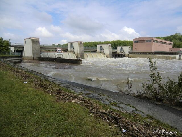 4. Juni 2013,  vormittags: Staustufe Dillingen: All back to normal
