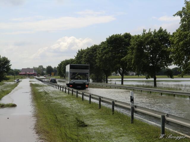 4. Juni 2013: Verbindungsstraße Dillingen-Holzheim: Die Straße ist noch gesperrt, doch Abenteuerlustige, seien es LKWs oder PKWs, testen die Tiefe des querenden "Riedstromes" (ausgeleitetes Donauwasser) aus. Dabei kommt es schon vor, dass einige stecken bleiben. Traktoren ziehen natürlich durch, die sind hoch genug angelegt.