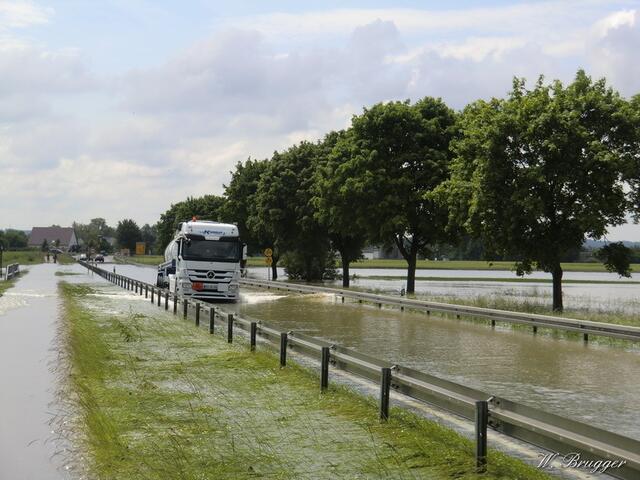 4. Juni 2013: Verbindungsstraße Dillingen-Holzheim: Die Straße ist noch gesperrt, doch Abenteuerlustige, seien es LKWs oder PKWs, testen die Tiefe des querenden "Riedstromes" (ausgeleitetes Donauwasser) aus. Dabei kommt es schon vor, dass einige stecken bleiben. Traktoren ziehen natürlich durch, die sind hoch genug angelegt.