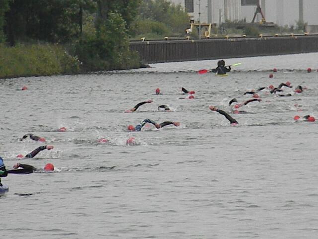 Nach 350 Meter war die Wende unter der brücke. Die schnellsten Schwimmer sind schon auf dem Rückweg.