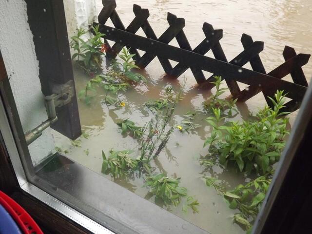Hier - am Küchenfenster - könnte man einen Entenfütterungsplatz einrichten.