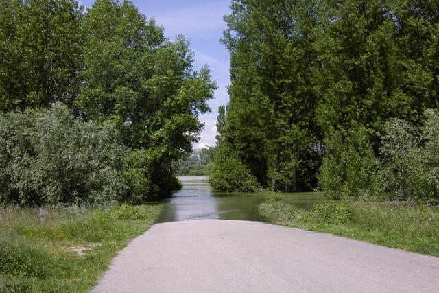 Der Weg,der hier normaler Weise weiter ginge,steht voll mit Wasser und würde etwas Bergab zunächst gehen!Ab dem Hintergrund wo der Rhein wäre ginge es zunächst ca.25 Stufen die Treppen runter zum Rhein! Hier waren es 4.20m die Wasserhöhe wurde durch Schilder angezeigt die alle paar Meter zu sehen ist!