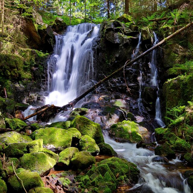 Ein Wasserfällchen in St, Blasien