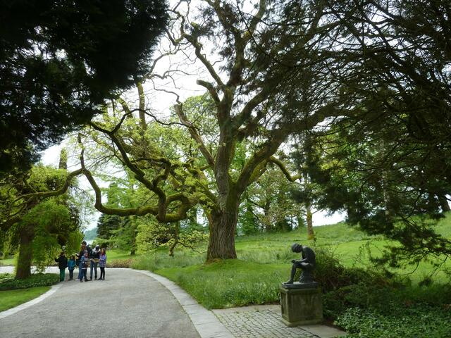 Auch dieser Baum ist mir aufgefallen.