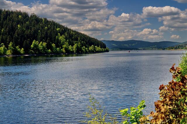 Der Schluchsee in Seebug
